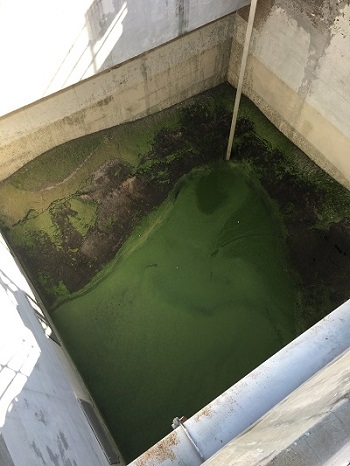 Supporting image for 90-Tons Removed from Aeration Basin